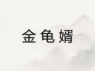 金龟婿 金龟婿