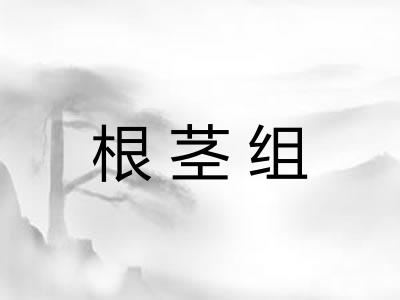 根茎组 根茎组