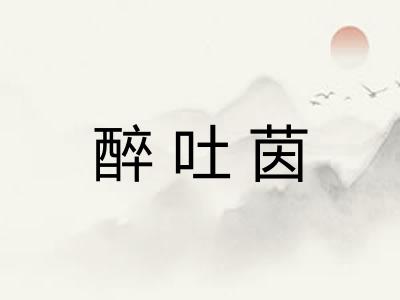 醉吐茵 醉吐茵