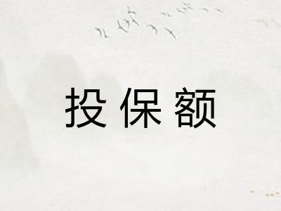 投保额 投保额
