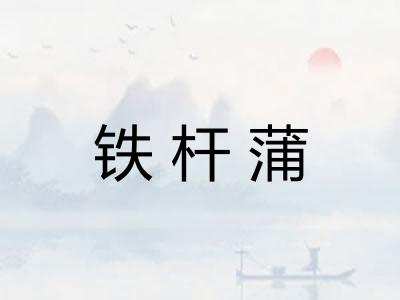 铁杆蒲 铁杆蒲
