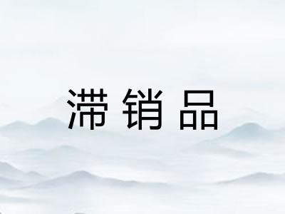 滞销品