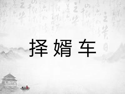 择婿车