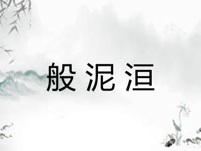 般泥洹 般泥洹