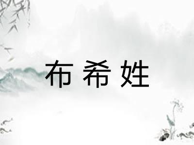 布希姓
