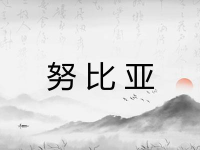 努比亚 努比亚