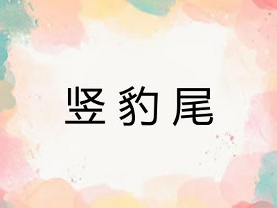 竖豹尾 竖豹尾