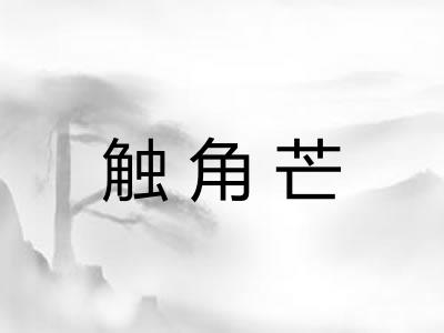 触角芒 触角芒