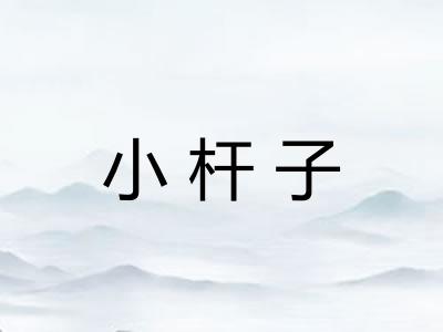 小杆子 小杆子