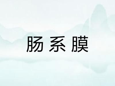 肠系膜 肠系膜