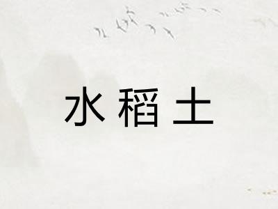 水稻土
