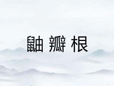 鼬瓣根