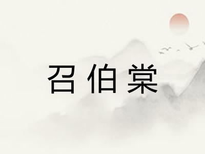召伯棠 召伯棠