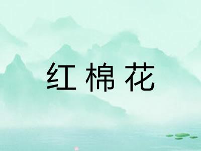 红棉花