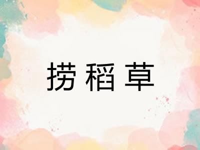 捞稻草 捞稻草