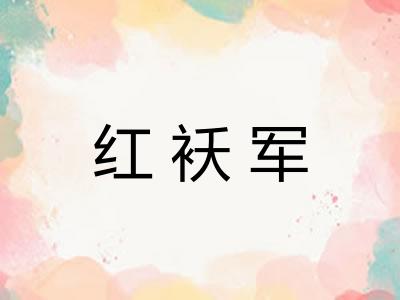 红袄军 红袄军