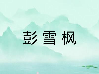 彭雪枫 彭雪枫