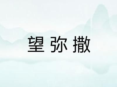 望弥撒 望弥撒