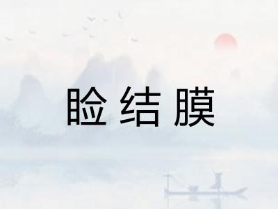 睑结膜 睑结膜