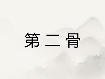 第二骨 第二骨