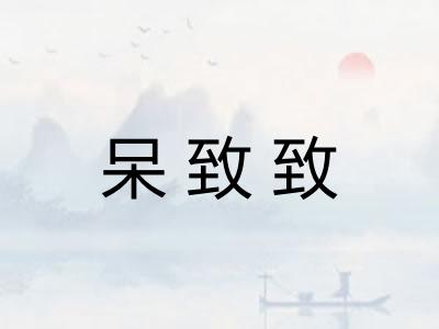呆致致