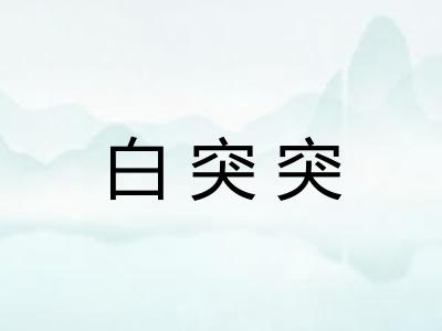 白突突 白突突