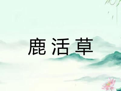 鹿活草 鹿活草