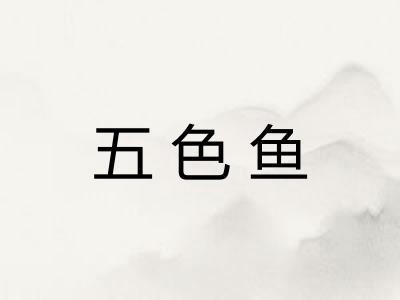 五色鱼 五色鱼
