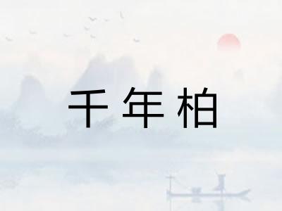 千年柏 千年柏