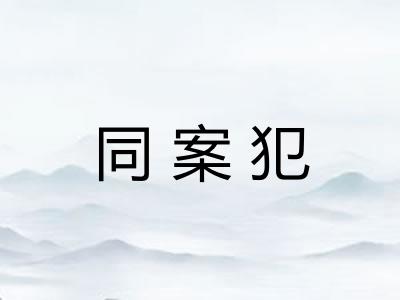同案犯 同案犯