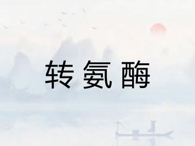 转氨酶 转氨酶