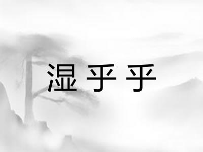 湿乎乎 湿乎乎