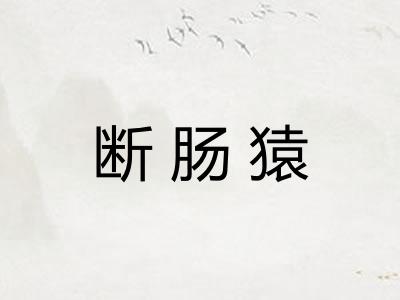 断肠猿