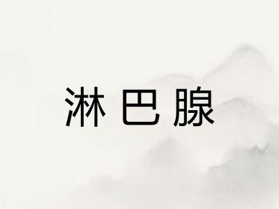 淋巴腺 淋巴腺