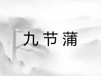 九节蒲 九节蒲