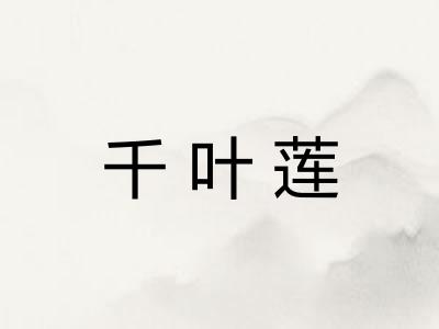 千叶莲