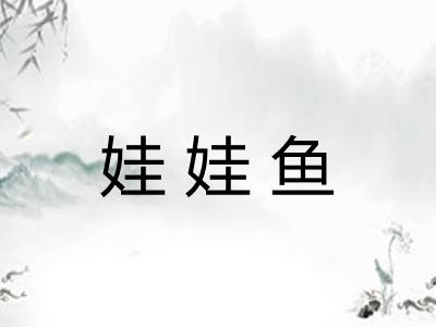 娃娃鱼 娃娃鱼
