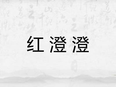 红澄澄 红澄澄