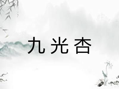 九光杏 九光杏