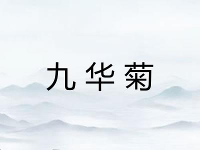 九华菊 九华菊