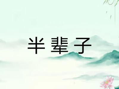 半辈子