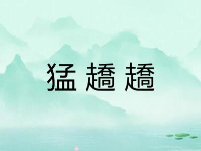 猛趫趫 猛趫趫