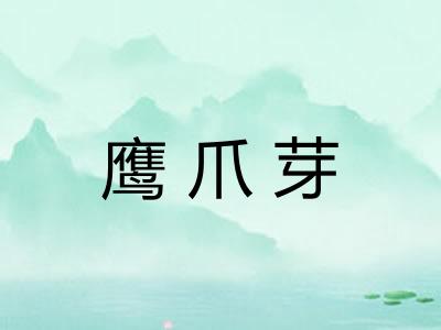 鹰爪芽