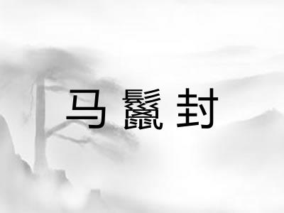 马鬣封 马鬣封