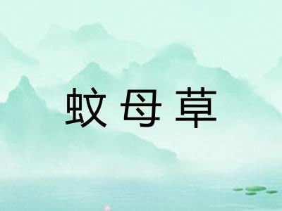 蚊母草