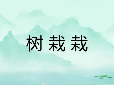 树栽栽 树栽栽
