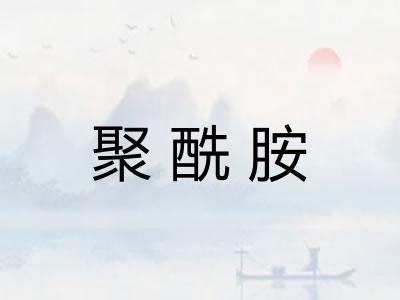 聚酰胺 聚酰胺