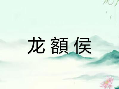 龙額侯