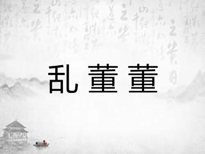 乱董董 乱董董