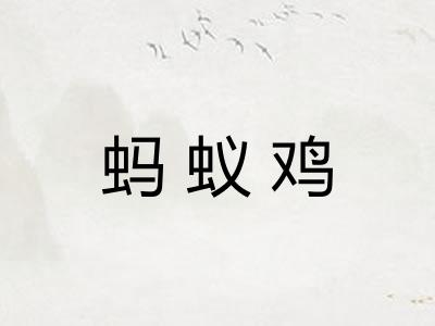蚂蚁鸡